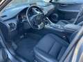 Lexus NX 300 300h Business 2WD Gris - thumbnail 15