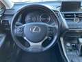 Lexus NX 300 300h Business 2WD Gris - thumbnail 29