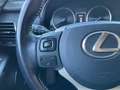 Lexus NX 300 300h Business 2WD Gris - thumbnail 26