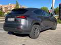Lexus NX 300 300h Business 2WD Gris - thumbnail 3