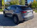 Lexus NX 300 300h Business 2WD Gris - thumbnail 7