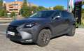 Lexus NX 300 300h Business 2WD Gris - thumbnail 11