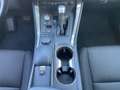 Lexus NX 300 300h Business 2WD Gris - thumbnail 31