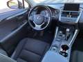 Lexus NX 300 300h Business 2WD Gris - thumbnail 17