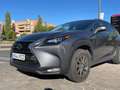 Lexus NX 300 300h Business 2WD Gris - thumbnail 6
