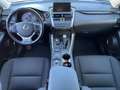 Lexus NX 300 300h Business 2WD Gris - thumbnail 2