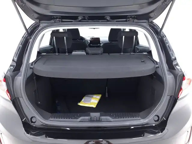 Ford Fiesta view 14