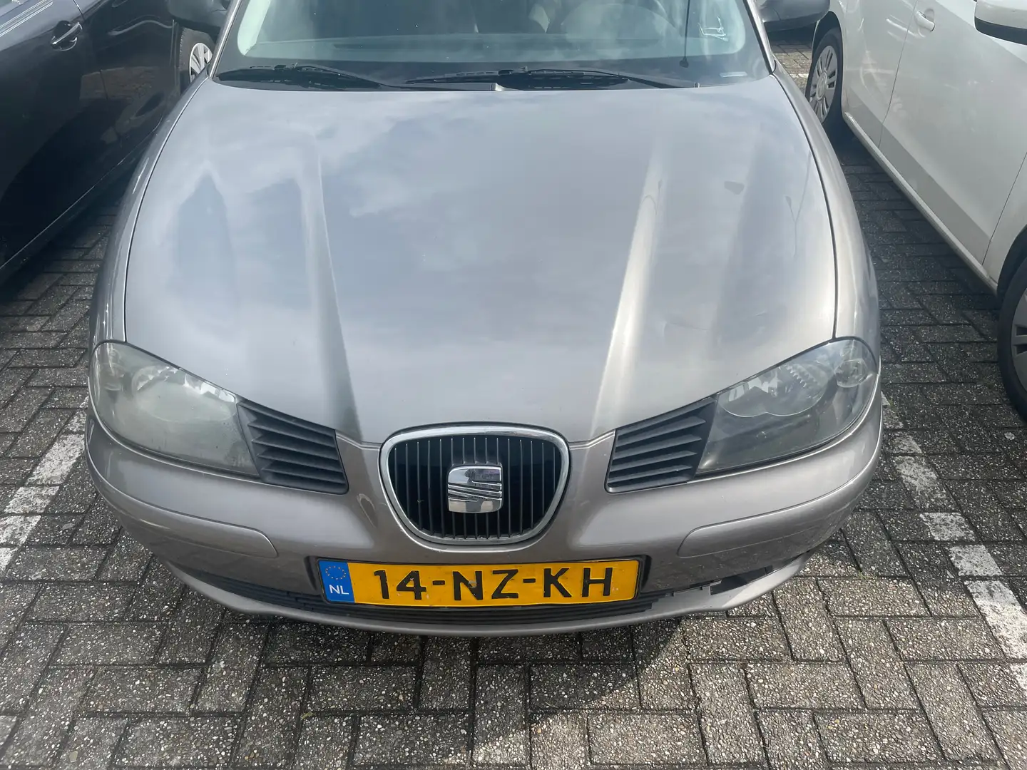 SEAT Ibiza 1.4-16V Stella Grijs - 1