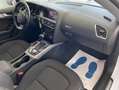 Audi A5 Sportback 2.0 Tdi 177cv Advanced Led Navi DVD Opt Bianco - thumbnail 12