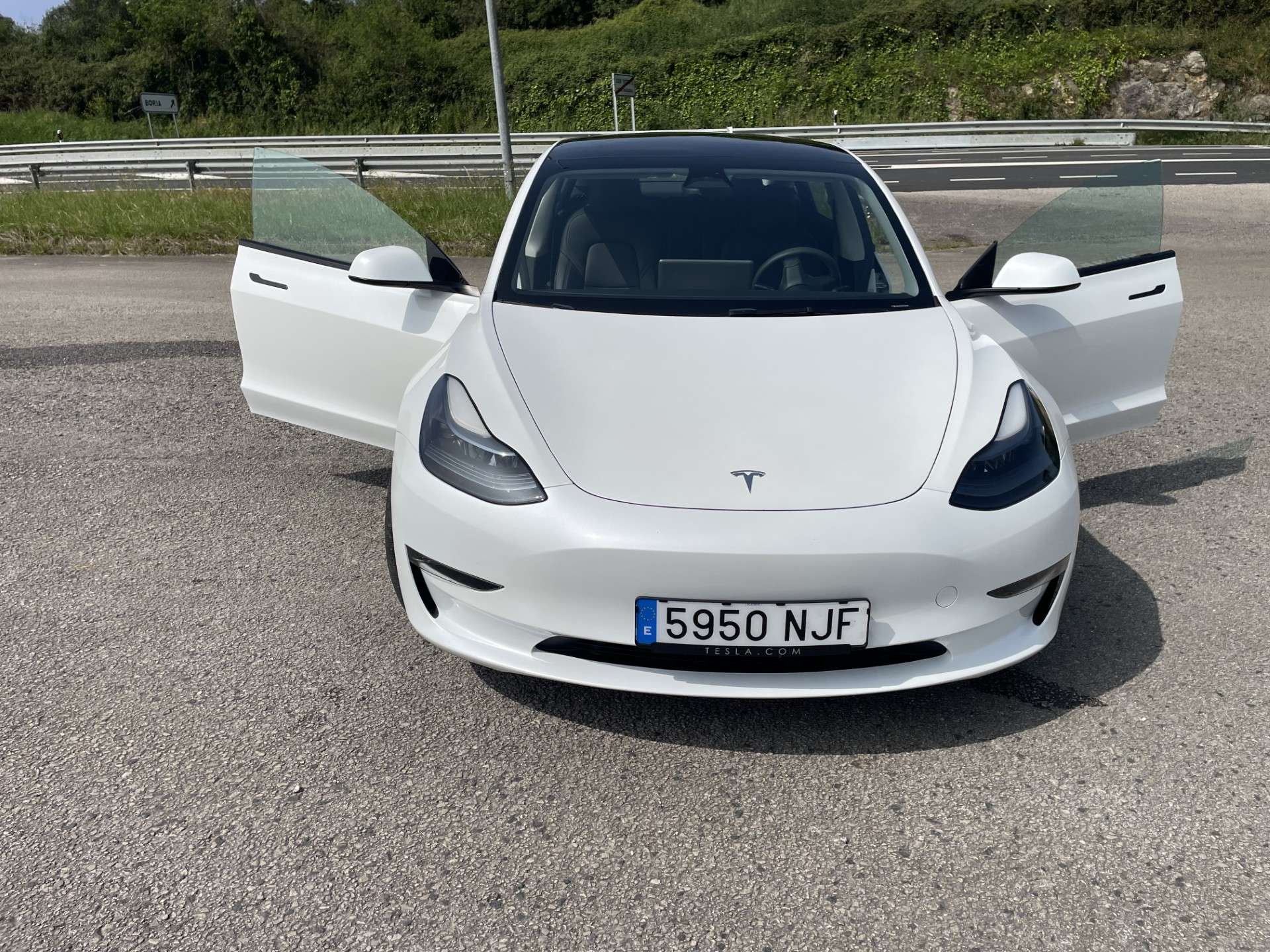 Tesla Model 3 Model 3 Long-Range Dual Motor Performance AWD Performance - foto 1