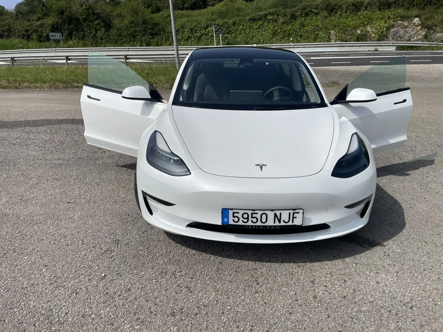 Tesla Model 3 Model 3 Long-Range Dual Motor Performance AWD Performance - 1