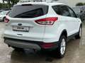 Ford Kuga Titanium Klima Leder Alu Gepflegt Blanc - thumbnail 5