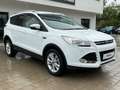 Ford Kuga Titanium Klima Leder Alu Gepflegt Blanc - thumbnail 7