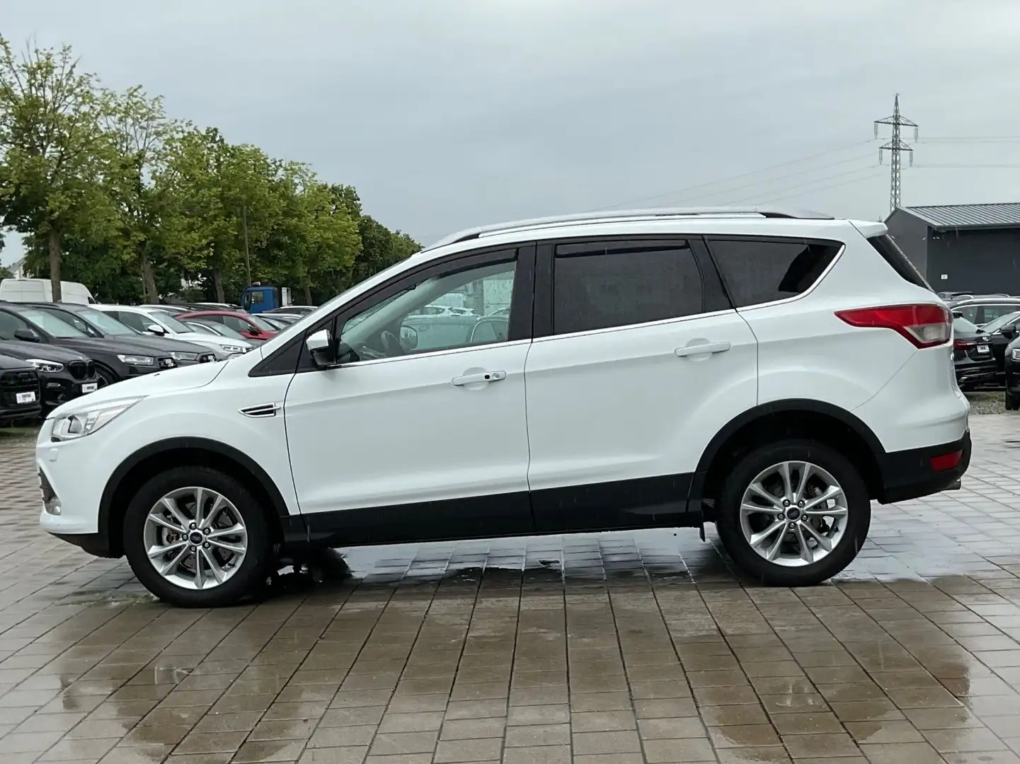 Ford Kuga Titanium Klima Leder Alu Gepflegt Blanc - 2