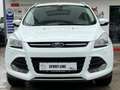 Ford Kuga Titanium Klima Leder Alu Gepflegt Blanc - thumbnail 8