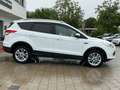 Ford Kuga Titanium Klima Leder Alu Gepflegt Blanc - thumbnail 6