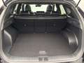 Hyundai TUCSON PHEV/ 24GR CO2 /SHINE N-LINE /PANO / ADAPTIVE CC Negro - thumbnail 15