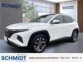 Hyundai TUCSON Trend Mild-Hybrid 2WD 1.6 T-GDI AHK-abn. El. Panod Weiß - thumbnail 1