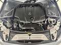 Mercedes-Benz C 220 Cabrio 220d 9G-Tronic Gris - thumbnail 30