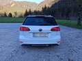 Volkswagen Golf Variant Golf Variant Rabbit 1,6 TDI Rabbit Weiß - thumbnail 5
