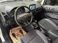 Ford EcoSport (2) 1.0 EcoBoost 125ch TITANIUM Wit - thumbnail 6
