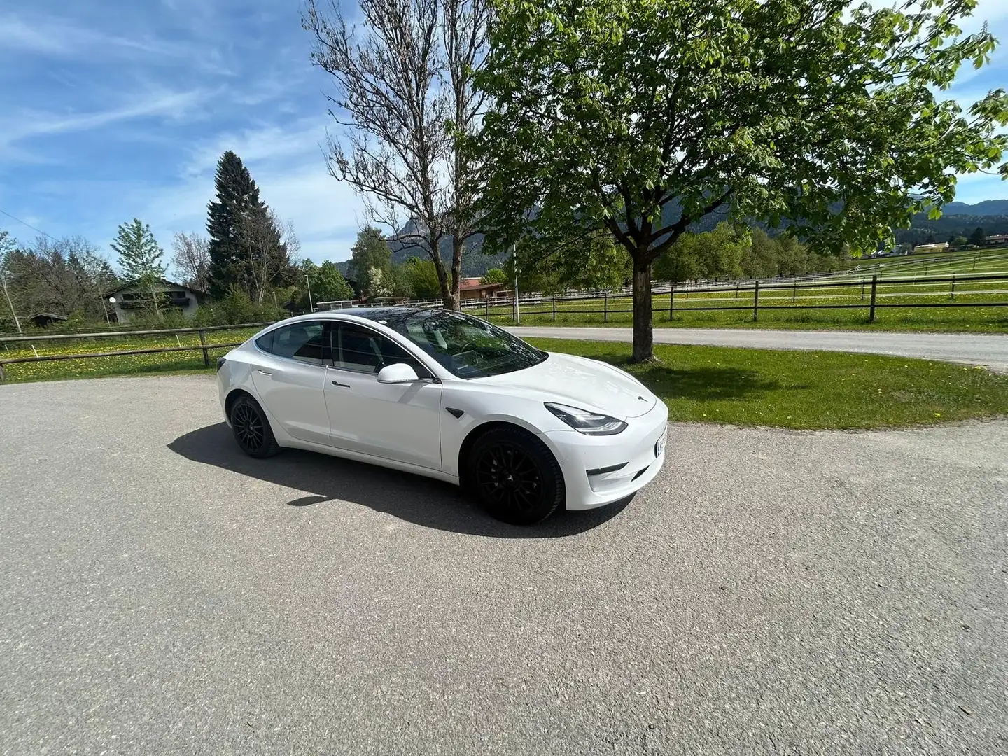 Tesla Model 3 Long Range AWD 75kWh - 2