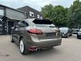 Porsche Cayenne S Hybrid Sport Design ACC/Pano/Fond TV Braun - thumbnail 14