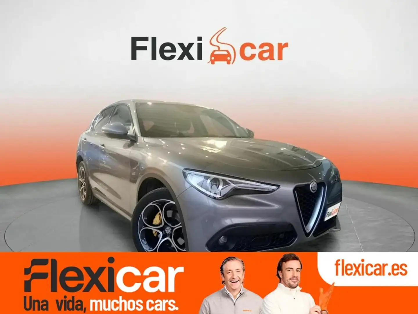 Alfa Romeo Stelvio 2.2 Diésel 154kW (210CV) Executive Q4 Gris - 1