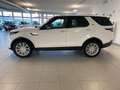 Land Rover Discovery Discovery 2.0 sd4 HSE Luxury 240cv auto Bianco - thumbnail 8