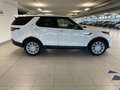 Land Rover Discovery Discovery 2.0 sd4 HSE Luxury 240cv auto Bianco - thumbnail 7