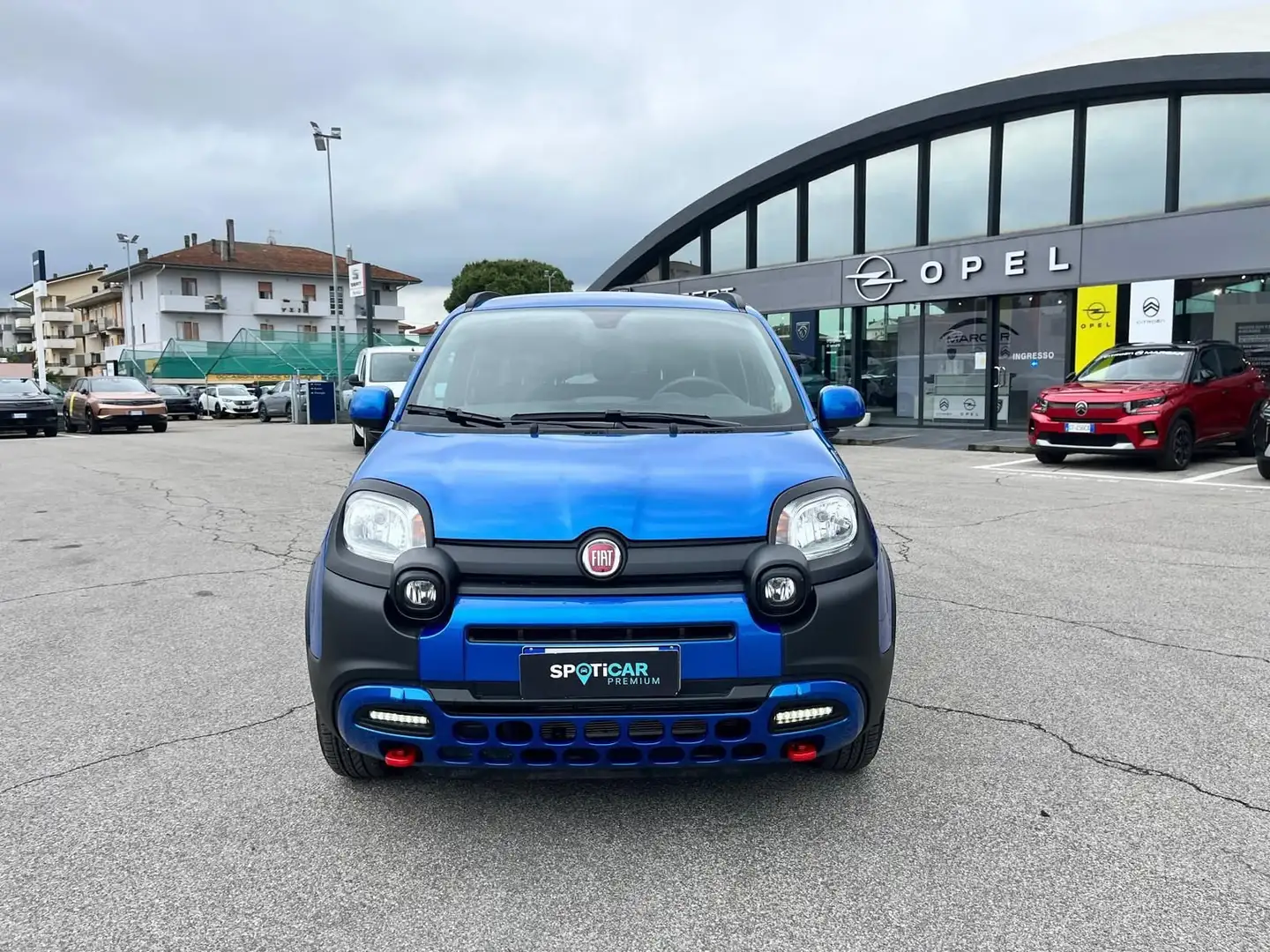 Fiat Panda 1.0 FireFly S&S Hybrid City Cross Blu/Azzurro - 2
