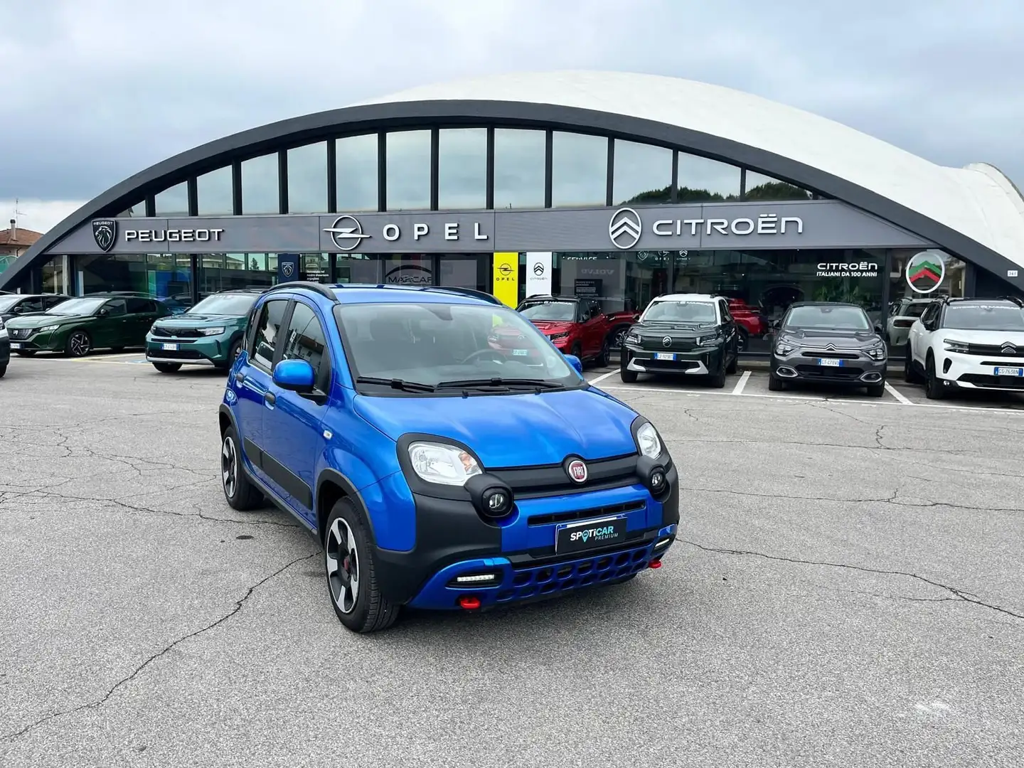 Fiat Panda 1.0 FireFly S&S Hybrid City Cross Blu/Azzurro - 1