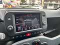 Fiat Panda 1.0 FireFly S&S Hybrid City Cross Blu/Azzurro - thumbnail 13