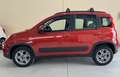 Fiat Panda Panda 1.3 mjt 16v 4x4 75cv Rojo - thumbnail 2