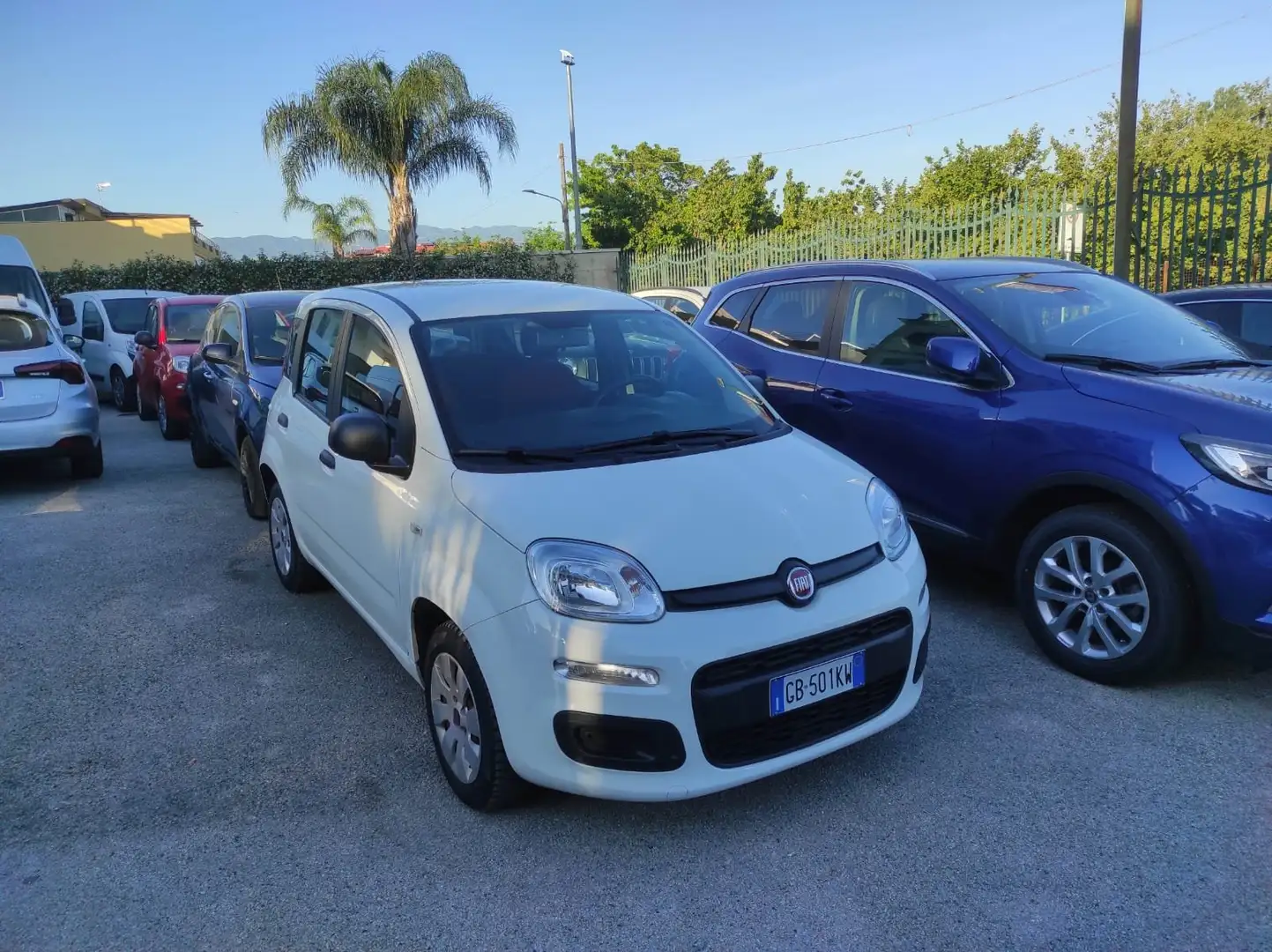 Fiat Panda Panda 1.2 Easy s Bianco - 2