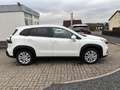 Suzuki (SX4) S-Cross Mild Hybrid 129PS LED ACC SH RFK Білий - thumbnail 6