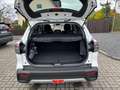 Suzuki (SX4) S-Cross Mild Hybrid 129PS LED ACC SH RFK Wit - thumbnail 17