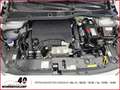 Opel Corsa F Edition 1.2 PDC+Android Auto&Carplay+SitzHZG+PDC Grau - thumbnail 14