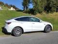Tesla Model Y Neues Model Y RWD Standard 62,8kWh inkl. EAP+AHK+Winterräder Weiß - thumbnail 8