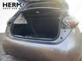 Renault ZOE R135/ EV50 (Batt. Iconic *LED*NAVI*TWA*FLA Gri - thumbnail 6