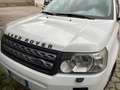 Land Rover Freelander Freelander II 2012 2.2 td4 S 150cv Blanc - thumbnail 8