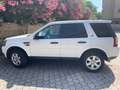 Land Rover Freelander Freelander II 2012 2.2 td4 S 150cv Blanc - thumbnail 21