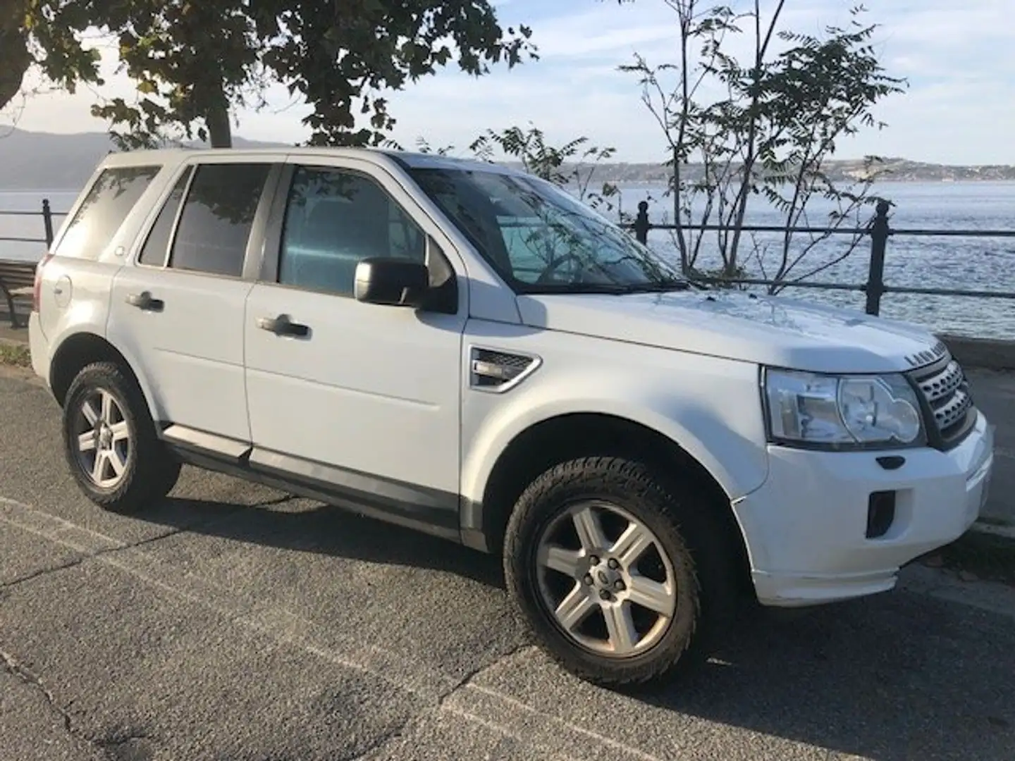 Land Rover Freelander Freelander II 2012 2.2 td4 S 150cv Blanc - 1