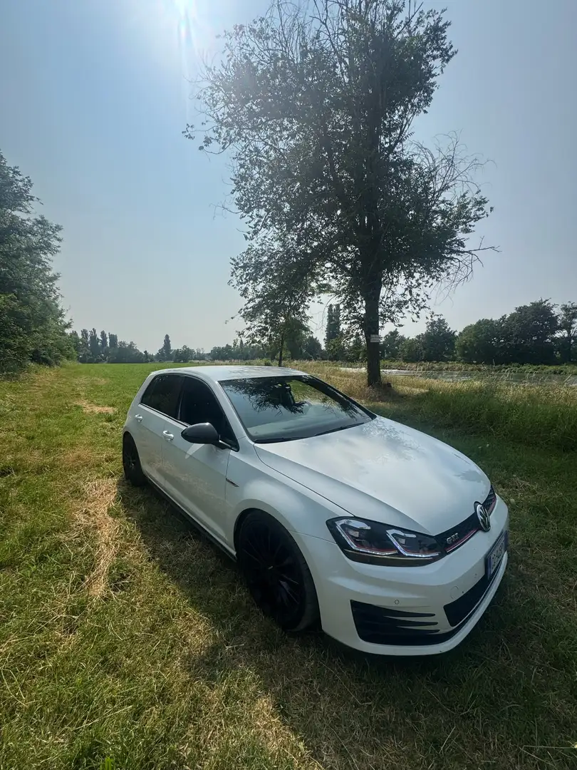 Volkswagen Golf GTI 5p 2.0 tsi Performance - 1