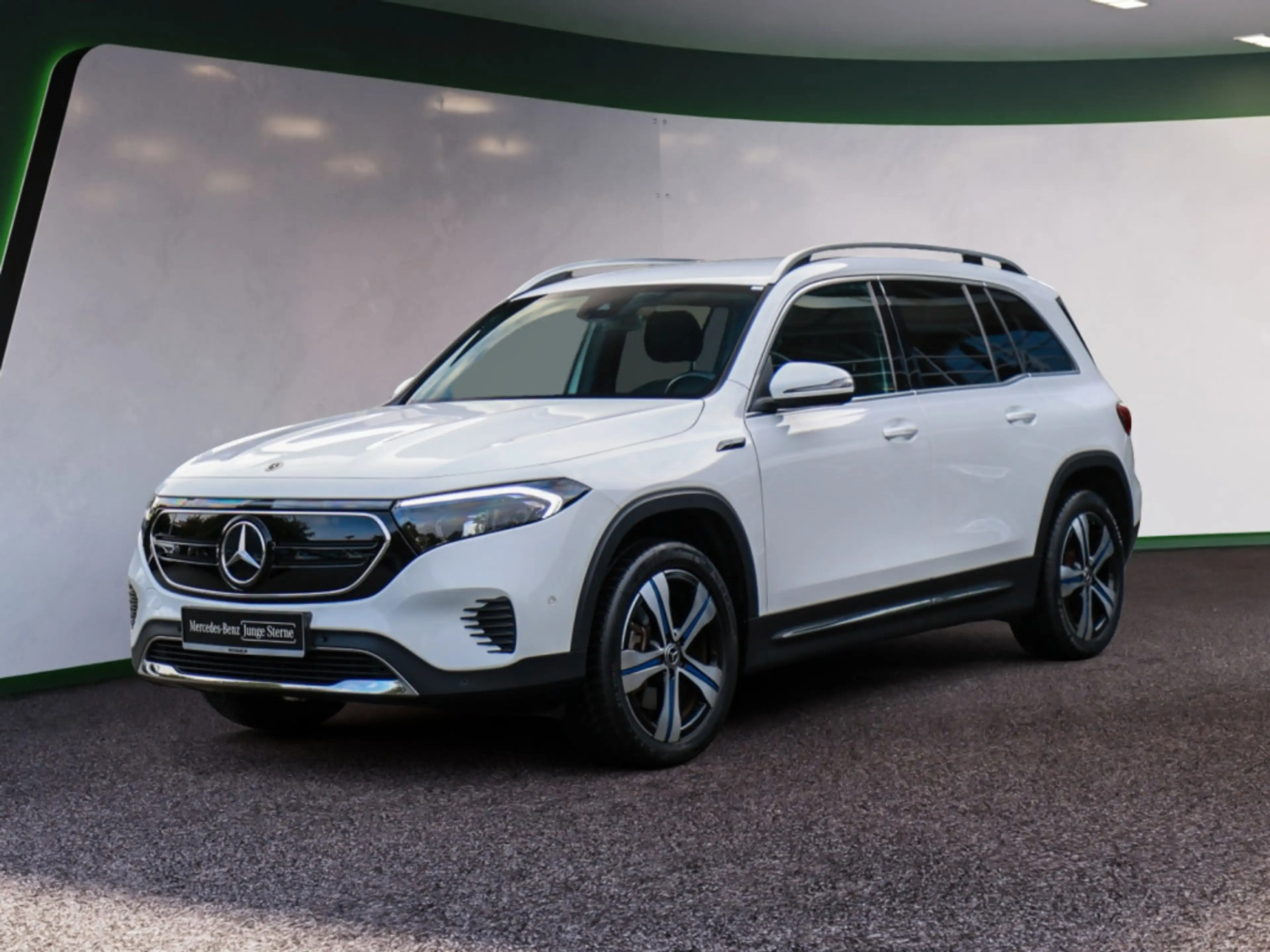 Mercedes-Benz EQB 250 ElectricArt Advanced LED NAVI KAMERA — photo 2