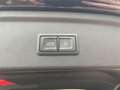 Audi RS3 Sportback Carbon-Paket+Sonos+ACC+Schiebedach Schwarz - thumbnail 9
