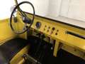 Autres Ferves Ranger  M0922 Jaune - thumbnail 16