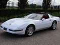 Chevrolet Corvette ZR1 Wit - thumbnail 2