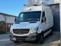 Mercedes-Benz Sprinter 319 CDI Sprinter  v6 2015 AUTOMAAT EURO 6 btw Wit - thumbnail 32