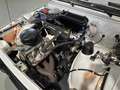 Wartburg 353 Rallye Trans mit 353 WR Rallyewagen Weiß - thumbnail 21